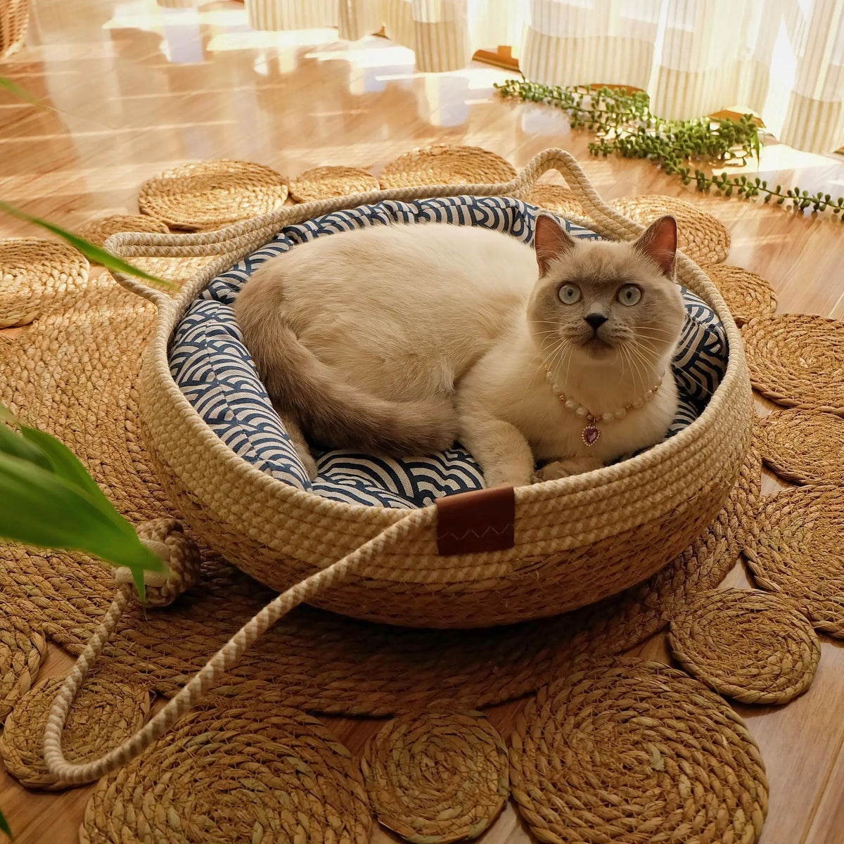 Rattan Woven Cat/Dog Bed-Murzelshop