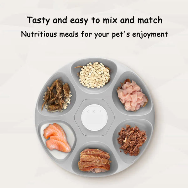 Smart Automatic Pet Feeder 6 Meals Timed dog cat Food Dispenser