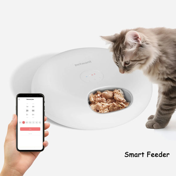 Smart Automatic Pet Feeder 6 Meals Timed dog cat Food Dispenser