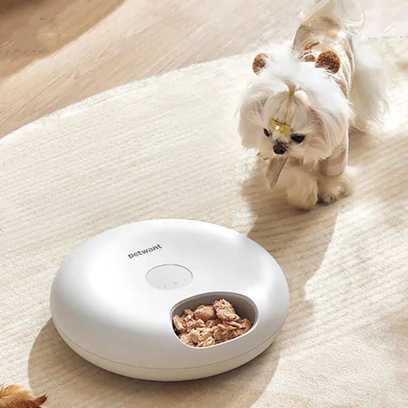 Smart Automatic Pet Feeder 6 Meals Timed dog cat Food Dispenser