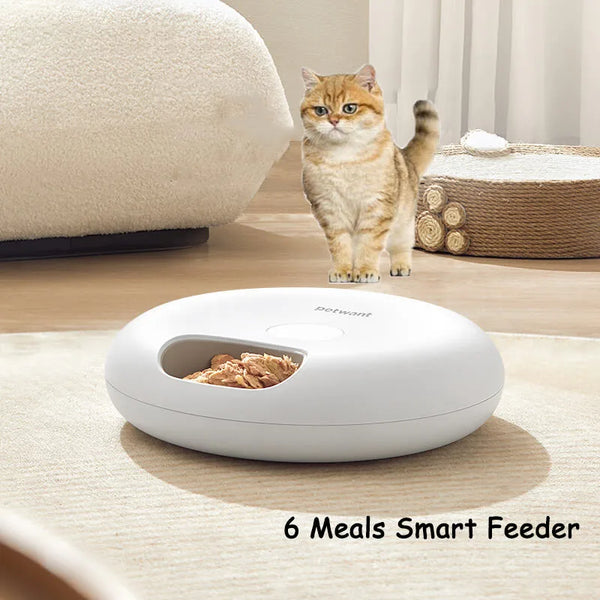 Smart Automatic Pet Feeder 6 Meals Timed dog cat Food Dispenser