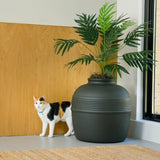 Hidden Cat Litter Box with Artificial Plant - MurzelshopHidden Cat Litter Box with Artificial Plant